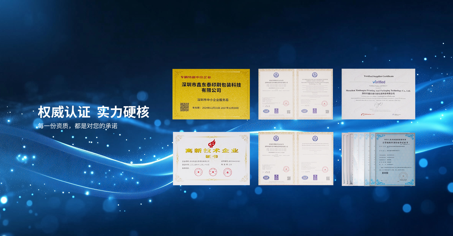 权威认证，实力硬核